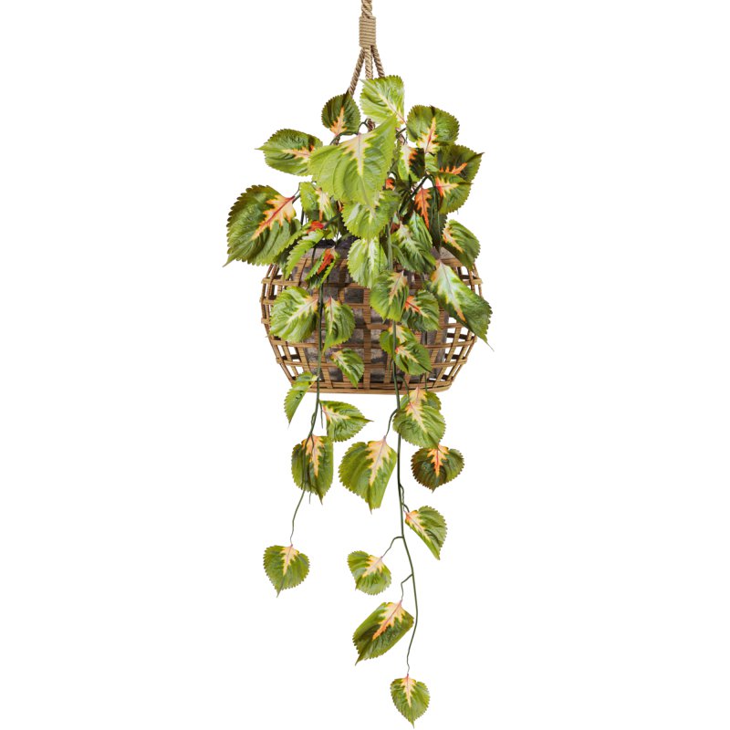 hanging plants set - Image 3
