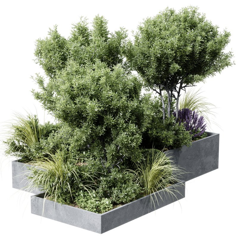 Outdoor plants 12 - Image 2