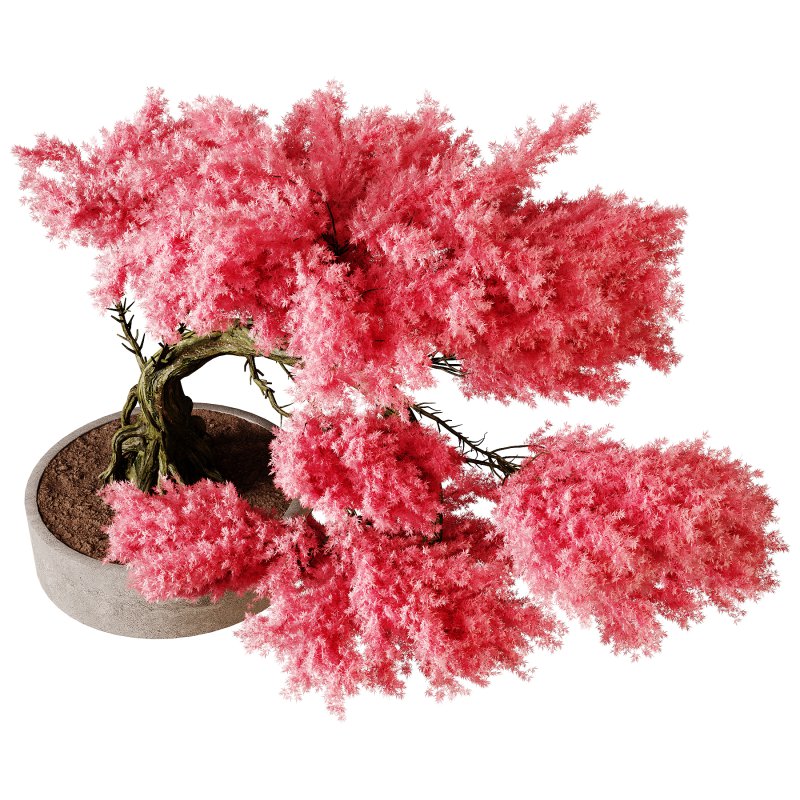 Indoor plants 76 – Plant in pot - Image 4