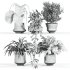 plants set on shelf - Thumbnail 5