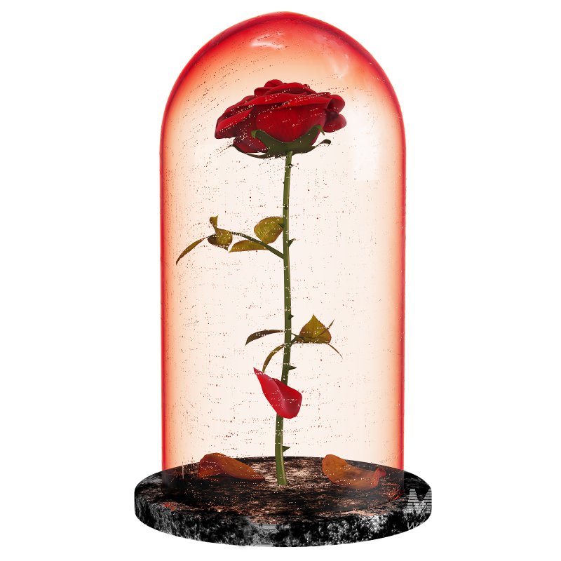 Rose in the movie Beauty and the Beast - Image 4