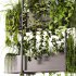 Indoor Plants – 23 Hanging plants - Thumbnail 3