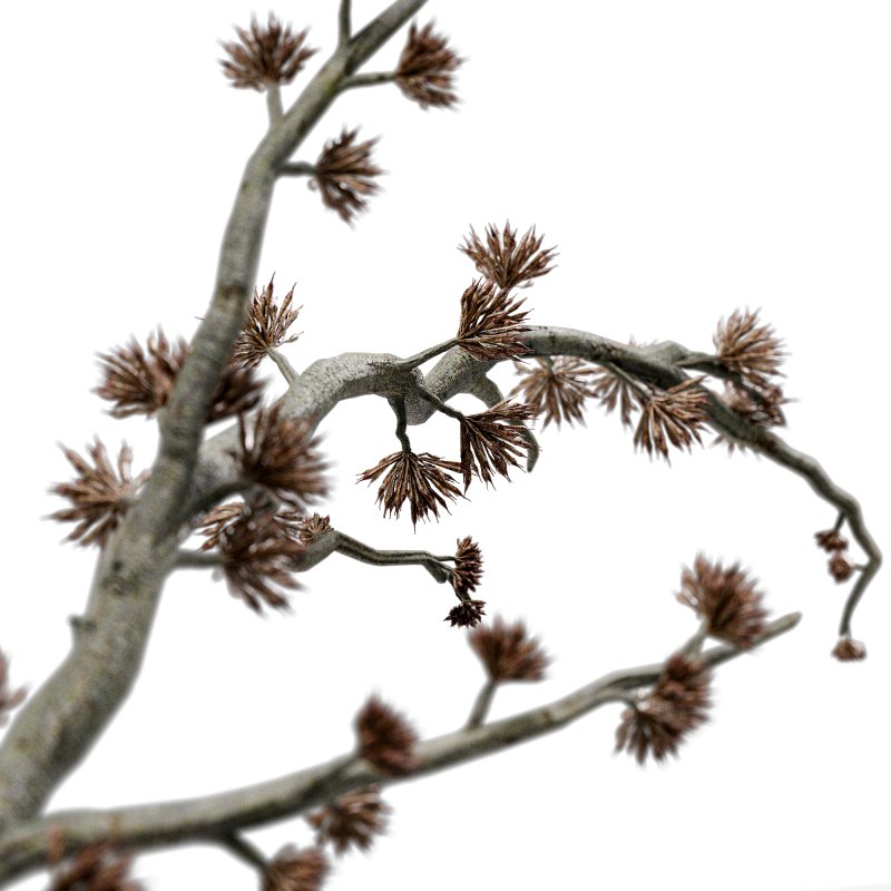 Bouquet set 18 - Image 2