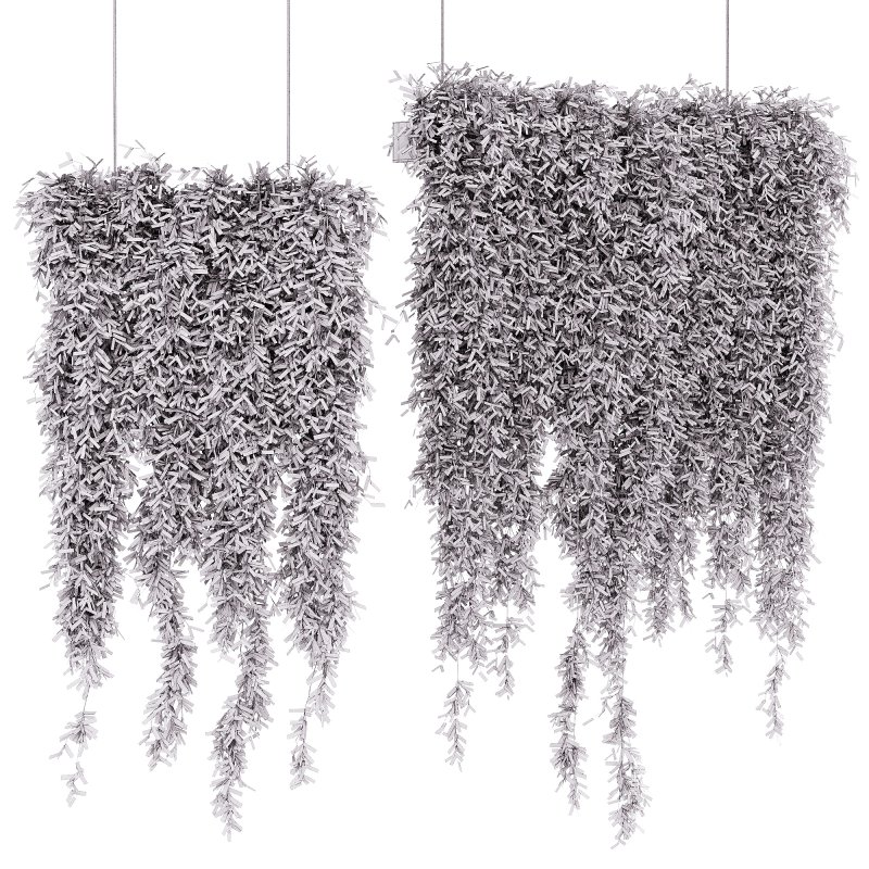 Indoor Plants – 21 hanging plants in pots - Image 5