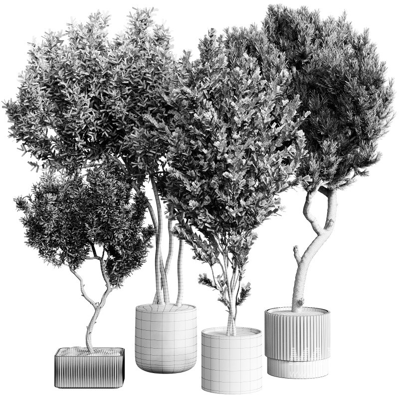 indoor plants 112 – plant collections in pot - Image 5