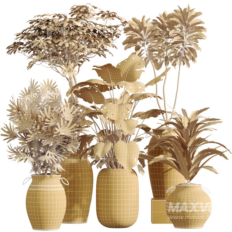 AV Indoor Plants Set 253 Monstera Drupifera Warneckii Schefflera Rhapis Excelsa - Image 6