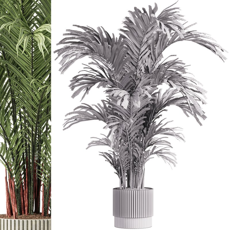 indoor plants – 61 plant in pot - Image 1