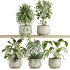 plants set on shelf - Thumbnail 1