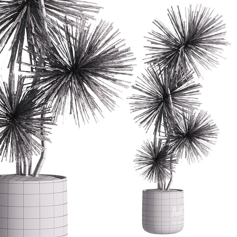 indoor plants – 31 plant in pot - Image 3