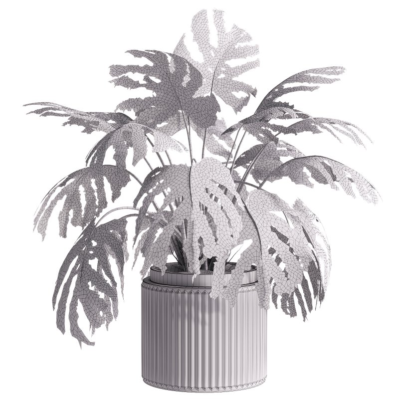 indoor plants – 33 plant in pot - Image 2