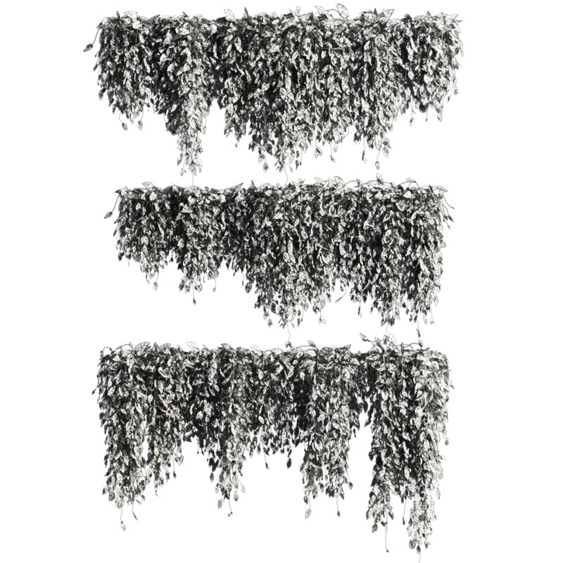 ivy plants - Image 3