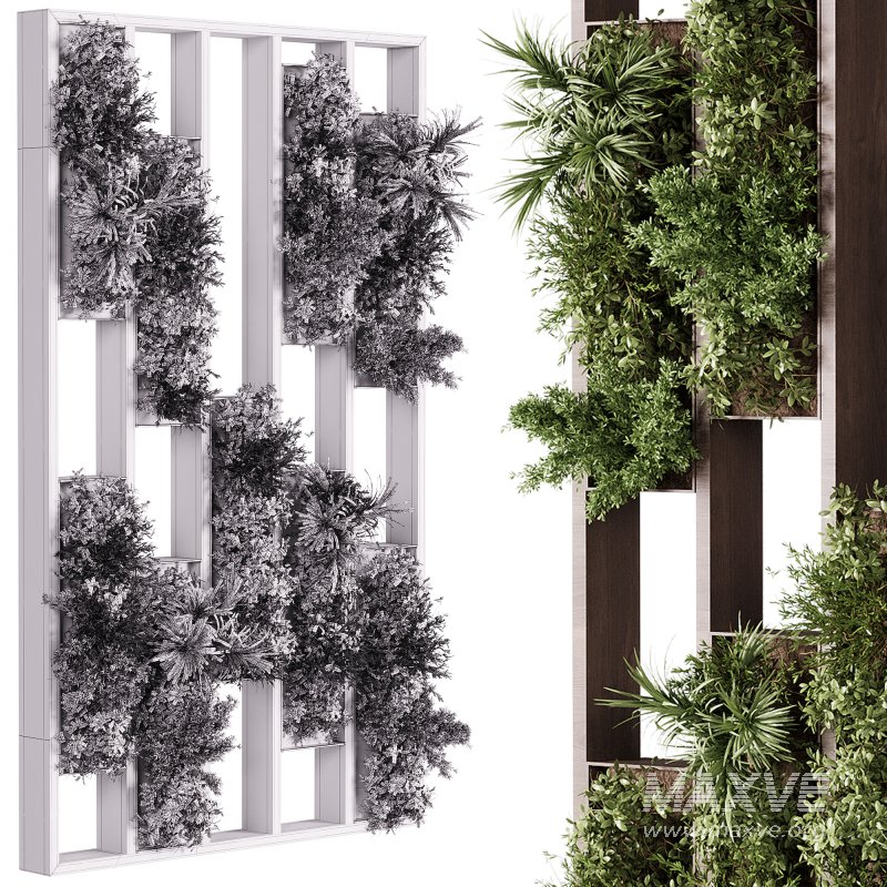 Vertical Garden Partiton plants 03 - Image 2