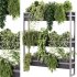 indoor plants – 54 Plant Stand - Thumbnail 2