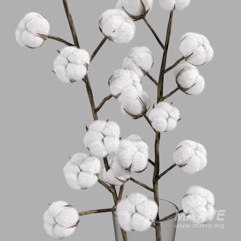 cotton bouquet - Image 5