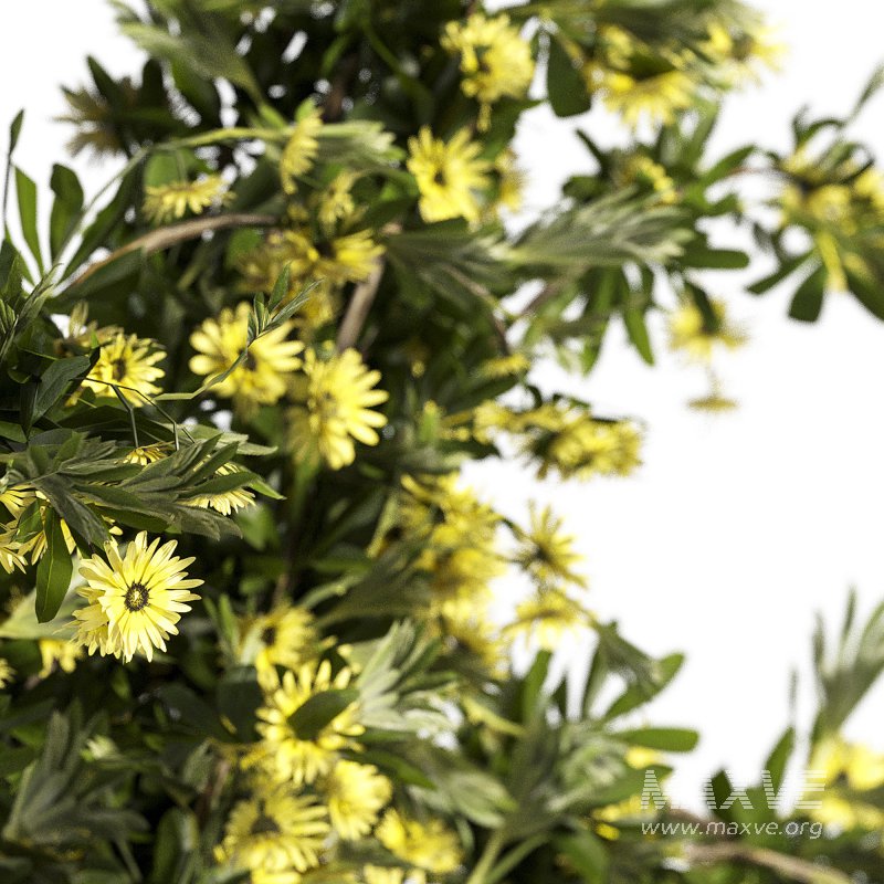 coolection Plants bouquet vase - Image 5