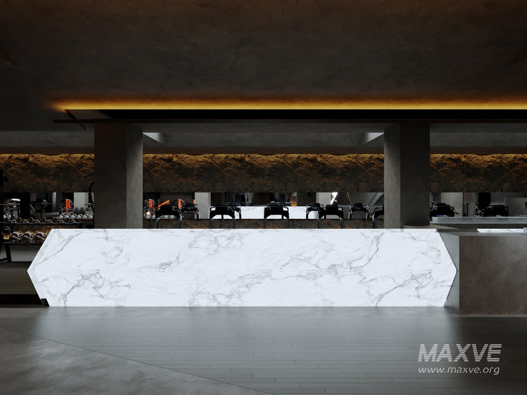 Modern Gym - Image 14