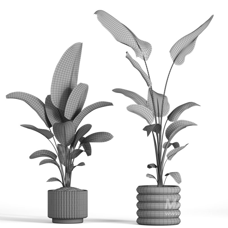 indoor plant 040 - Image 4