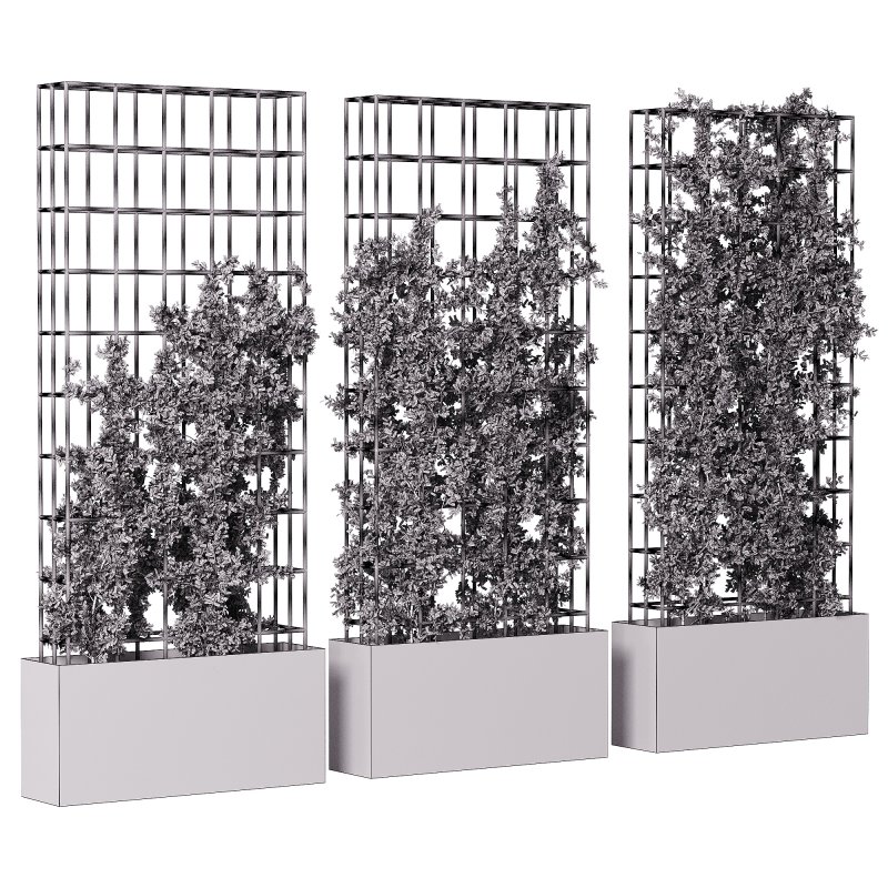 Vertical Garden Partiton plants 05 - Image 2