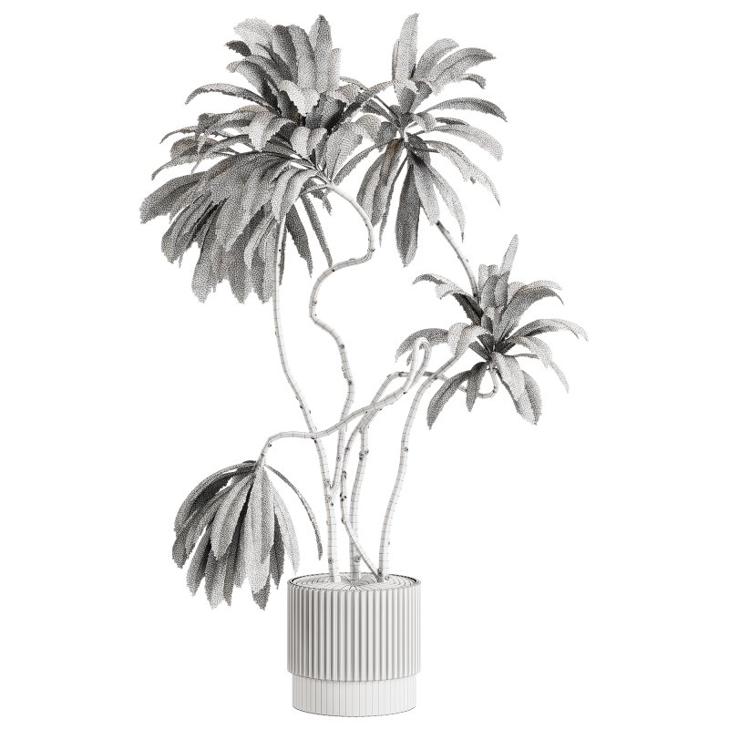 Indoor plants 115 – Plant in pot - Image 2