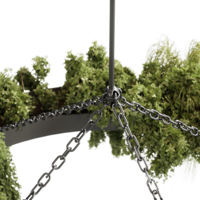 indoor plants 116 – Hanging indoor plant - Image 2