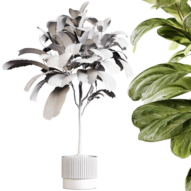 Indoor plants 90 – Plant in pot - Image 2