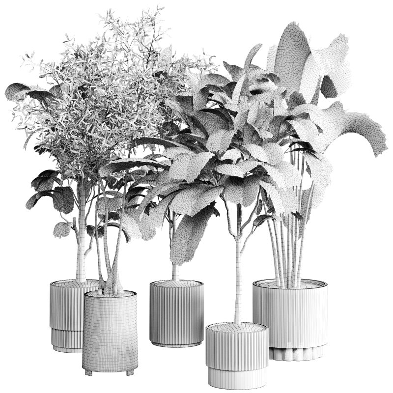 indoor plants 110 – plant collections in pot - Image 3