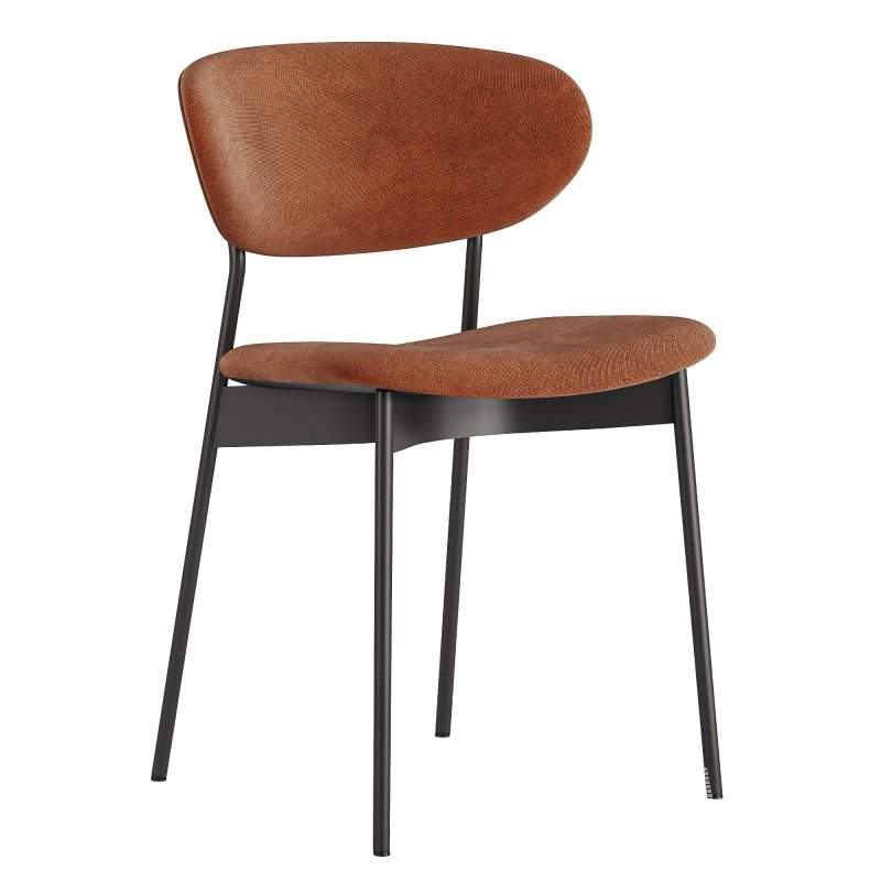 Alex Bucle-Divan - Image 2