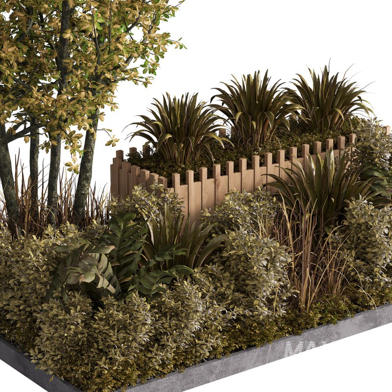 Outdoor Garden plants set in a box - Image 1