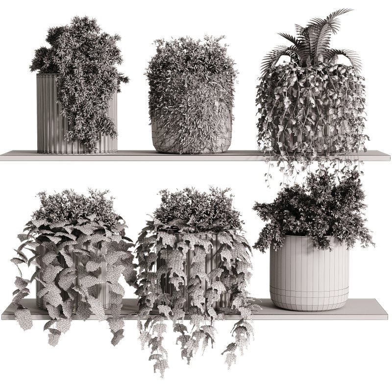 indoor plants – 29 hanging plant in pot - Image 3