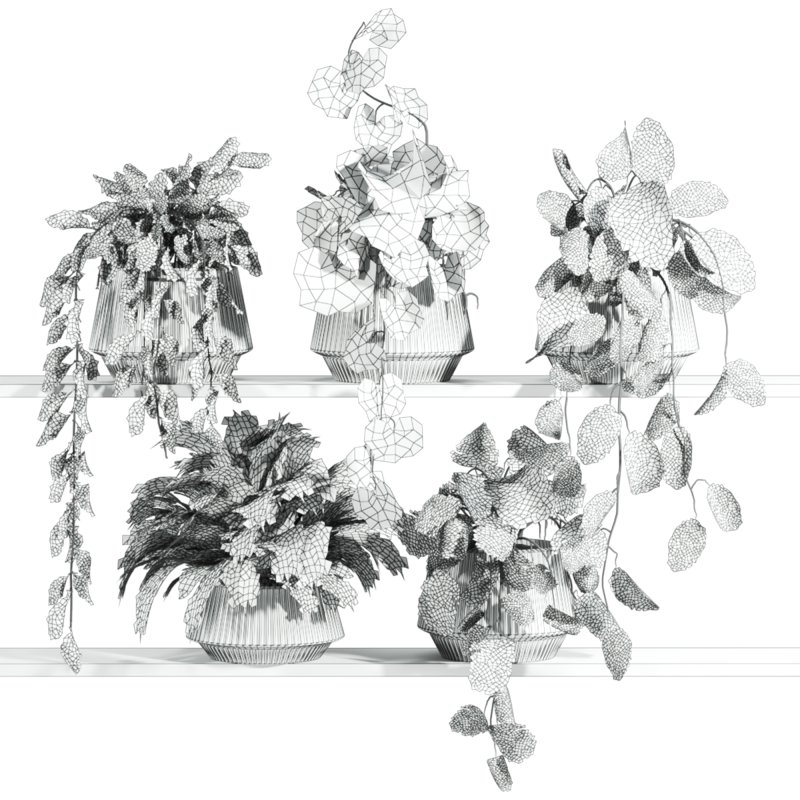 plants set on shelf - Image 2