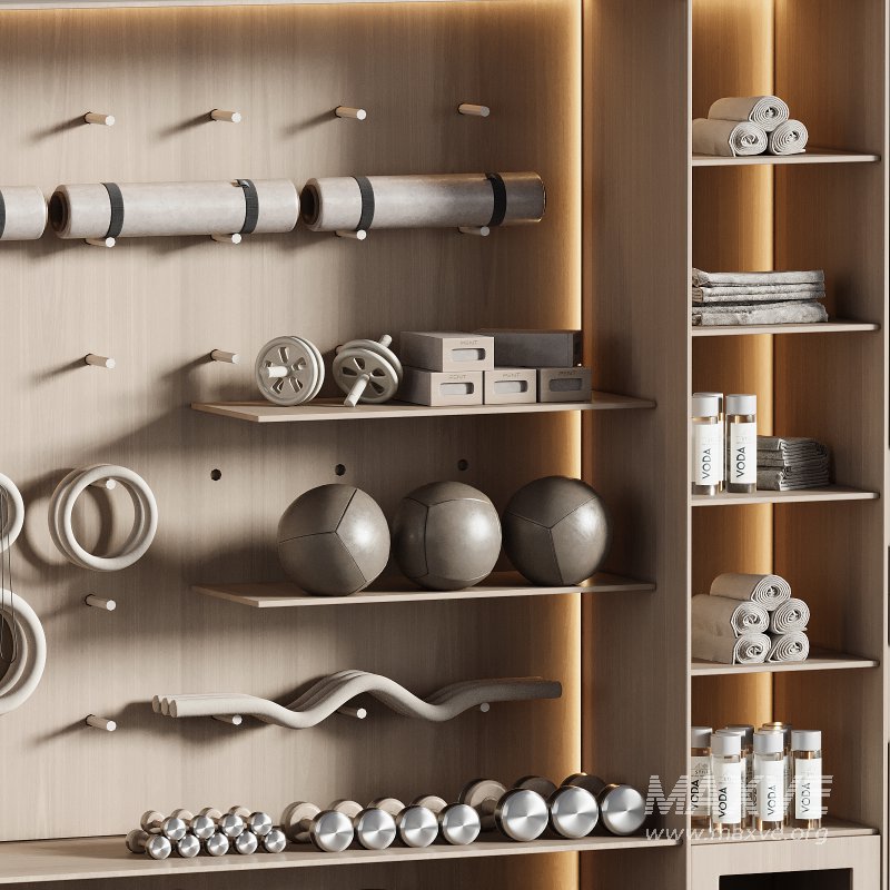 Home Gym Wall Rack with Equipment 04 - Image 5