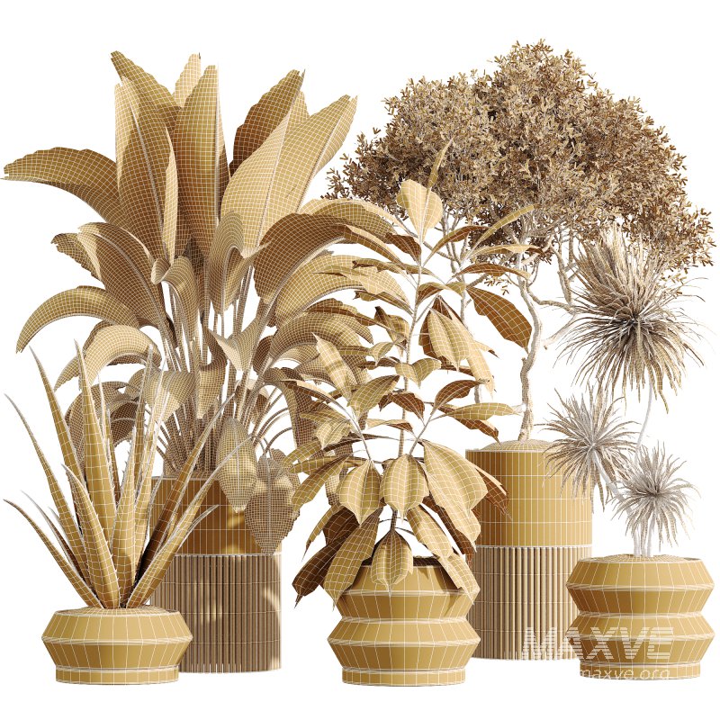 ntal value and botanical origin. Perfect for luxury interiors, modern lobbies, or minimalist environments, this set balances lush volume with sharp sculptural lines. - Image 6