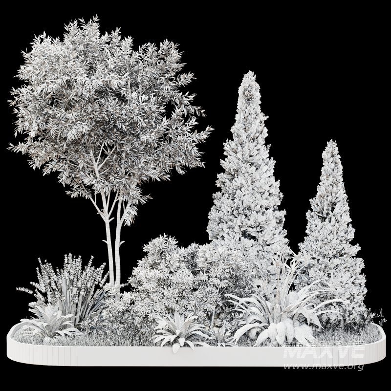 Outdoor Plant 44 - Image 3