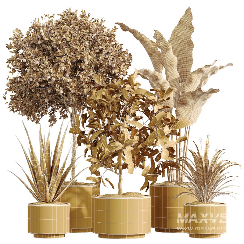 AV Indoor Plants Set 249 - Image 6