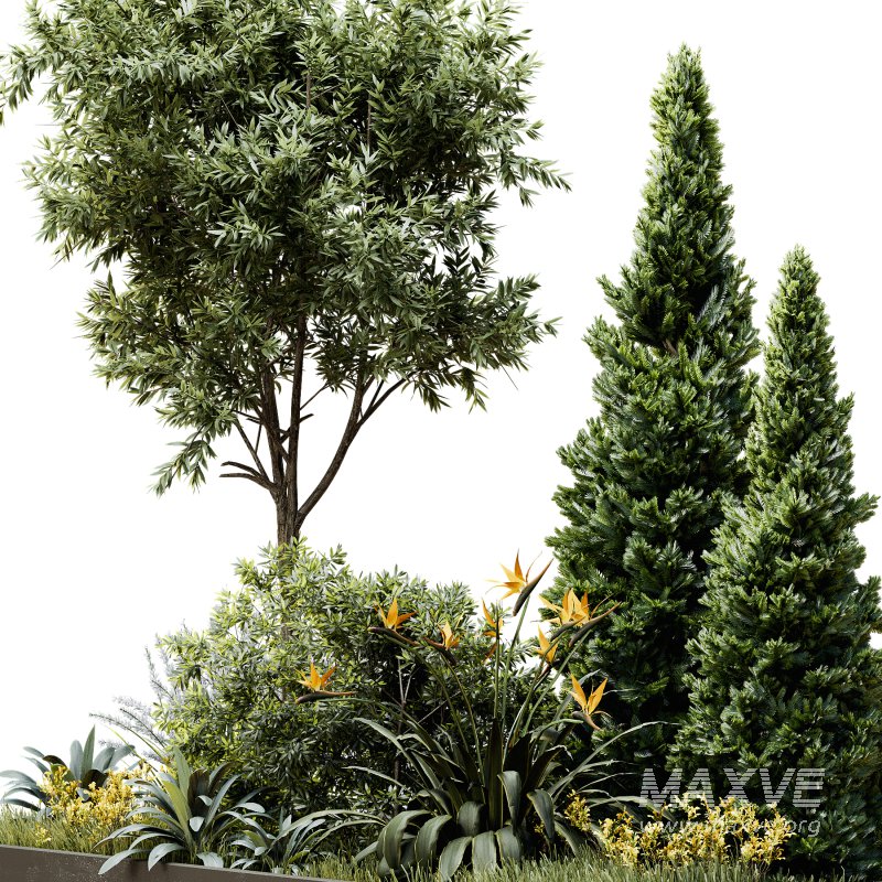 Outdoor Plant 44 - Image 4