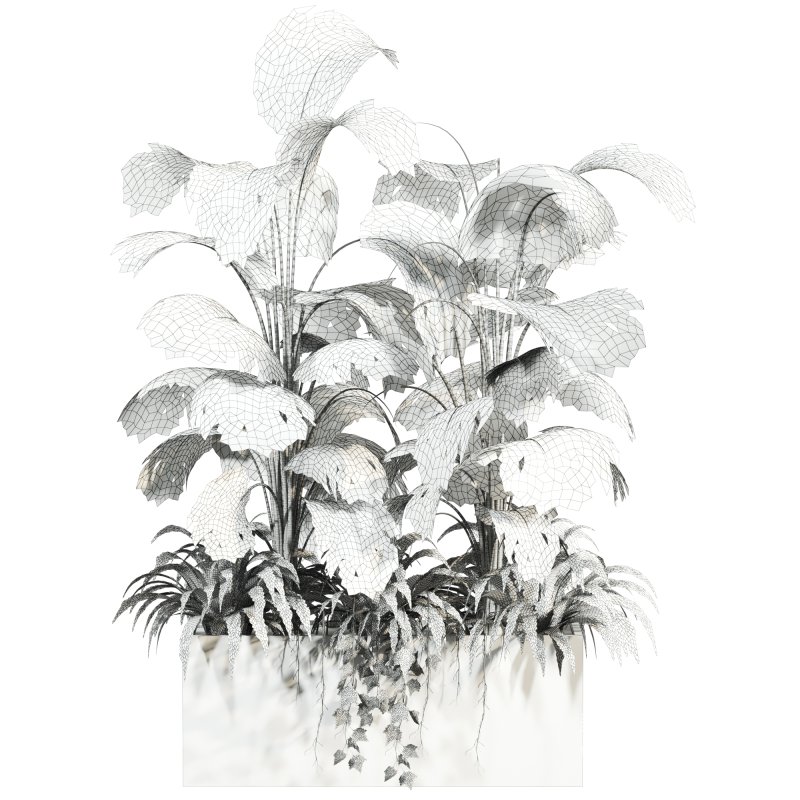 plants - Image 4