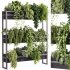 indoor plants – 54 Plant Stand - Thumbnail 1