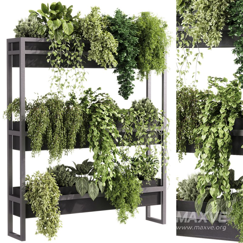 indoor plants – 54 Plant Stand - Image 1
