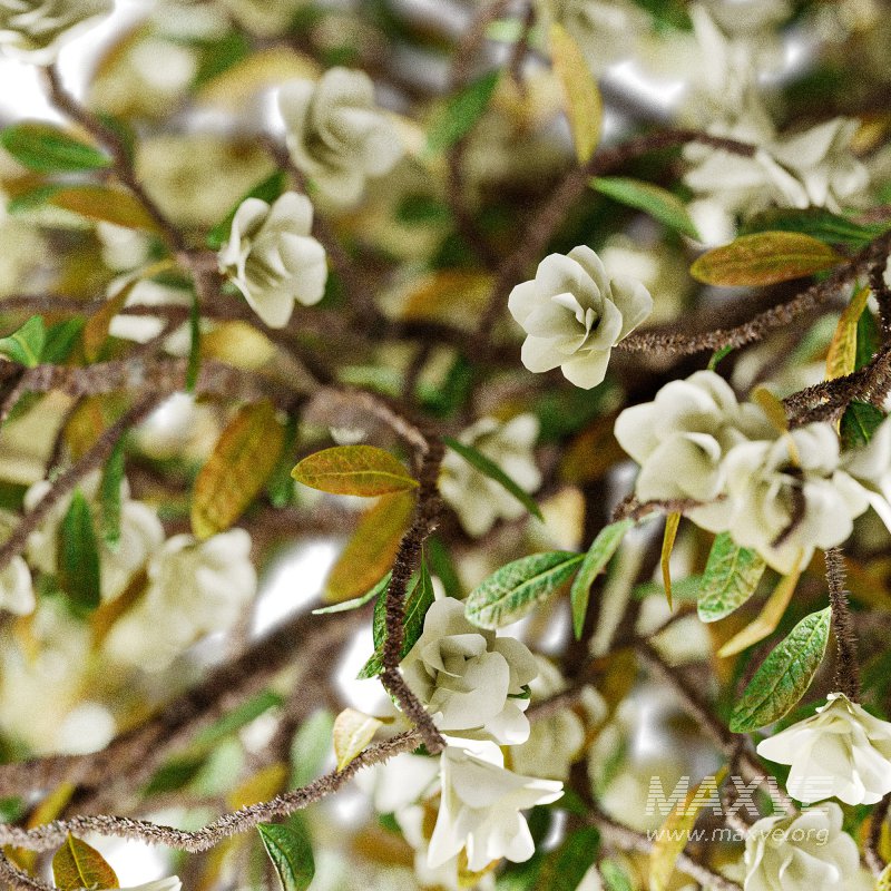 Decorative Bouquet set 26 - Image 2