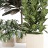 Indoor_plant_set_with_plant_tree_concrete_dirt_vase - Thumbnail 6
