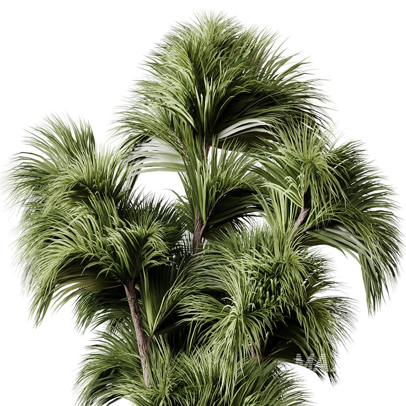 Indoor plants 86 – Plant in pot - Image 2