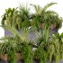 Indoor plant- 20 metall and wooden in box on stand - Thumbnail 3
