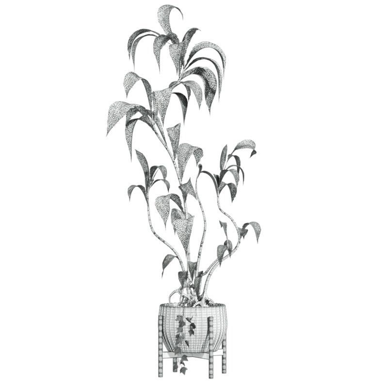 potted plant - Image 3