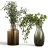 coolection Plants bouquet vase - Thumbnail 6