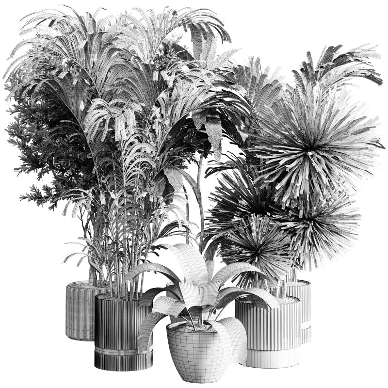 indoor plants 113 – plant collections in pot - Image 1