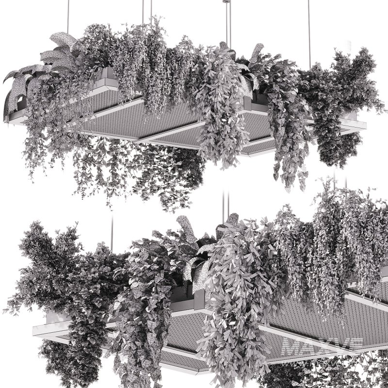 indoor plants – 51 Hanging indoor plant - Image 6