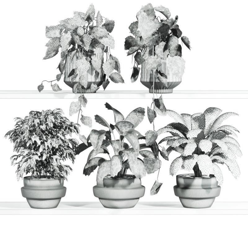 plants set on shelf - Image 2