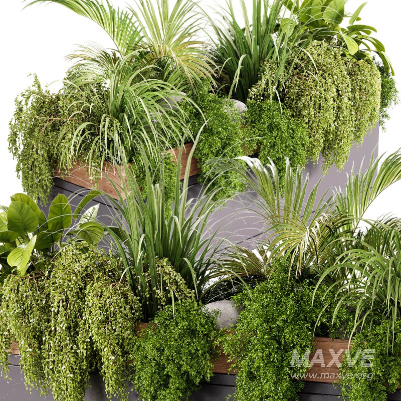 Indoor plant- 20 metall and wooden in box on stand - Image 4