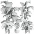 plants set - Thumbnail 4