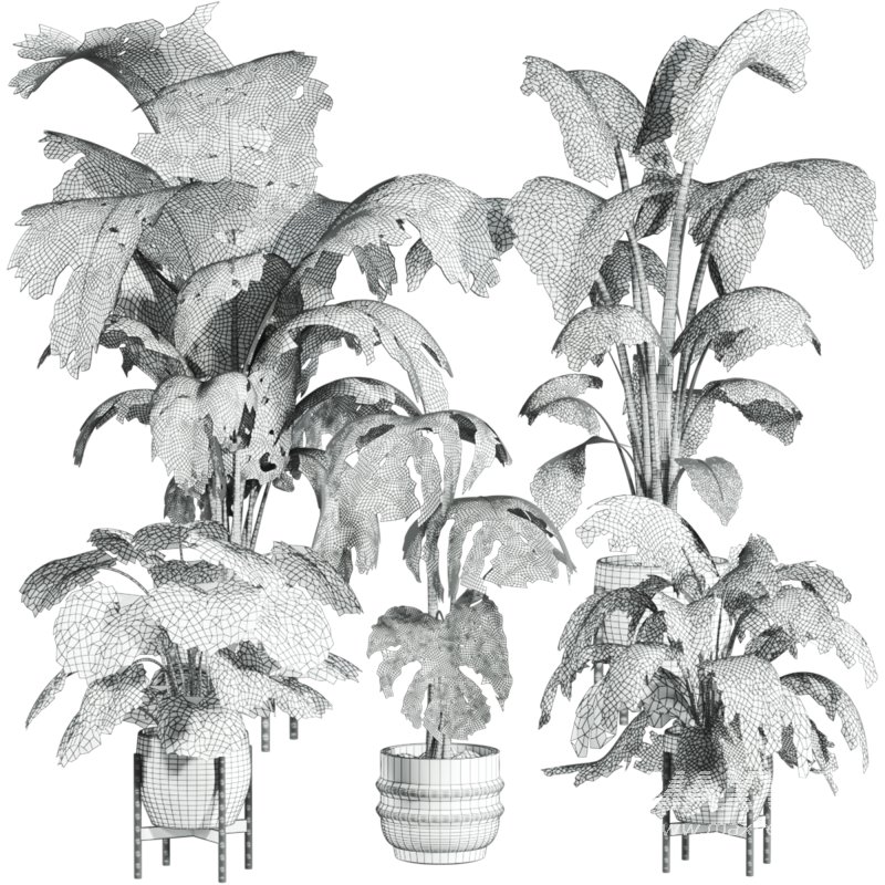 plants set - Image 4